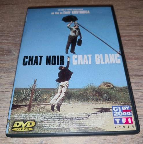 Dvd chat noir blanc - dvd,