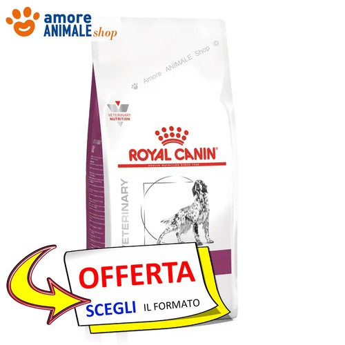 Royal canin chien - chien, →