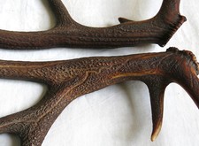 BOIS de CERF, paire bois cerf, chasse, couteau, lustre, 62 & 66 cm, black forest