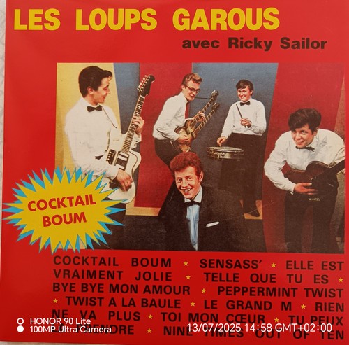 Disque vinyle les loups - 33,