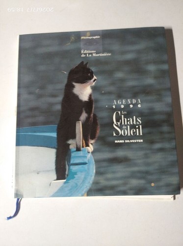 Les chats soleil hans - chats,