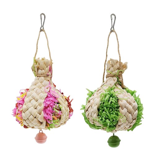 Perroquet naturel