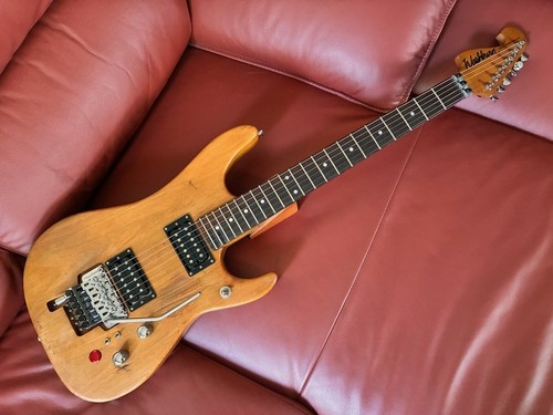 Washburn nuno bettencourt - washburn,