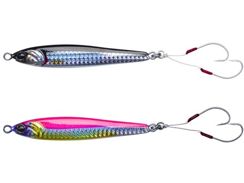 Neuf illex seabass anchovy - illex,
