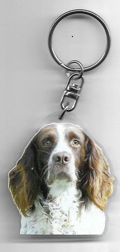 Springer anglais chien porte - ,