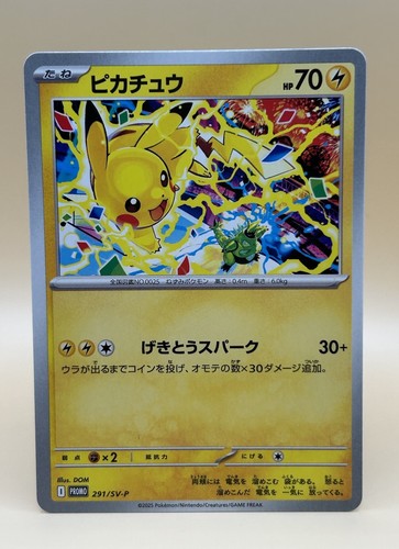 Pikachu 291 gym promo - pikachu,