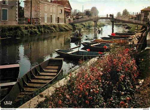Carte postale coulon - carte,
