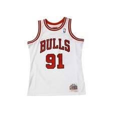 Maillot NBA Dennis Rodman Chicago Bulls 1995-96 Mitchell & ness Hardwood Classic