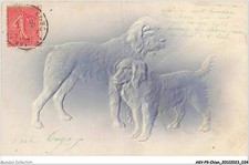 AKVP9-0662-CHIEN - BASSET FAUVE DE BRETAGNE