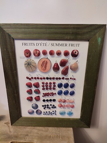 Cadre mural fruits été - cadre,
