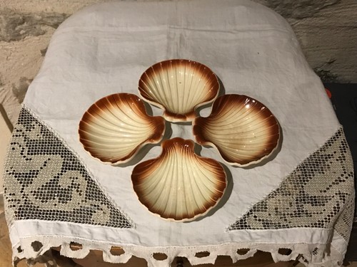 Lot coquilles st jacques - lot,