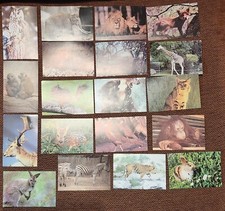 19 grandes images collection animaux 9 x 14 cm Images éditions éducatives Paris