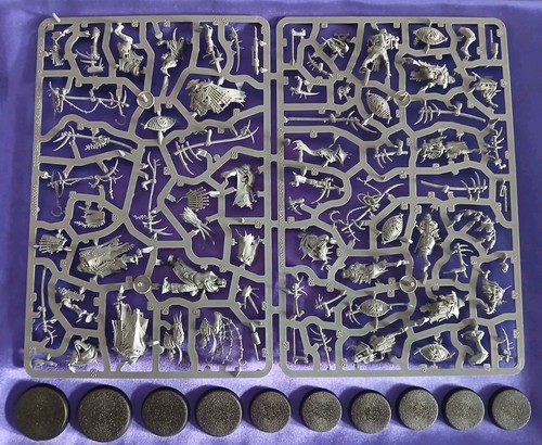 Rotmire creed unit - rotmire, (10)