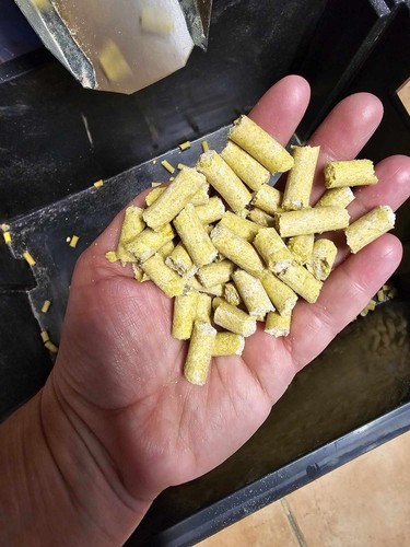 10kg pellets carpe - 10kg,