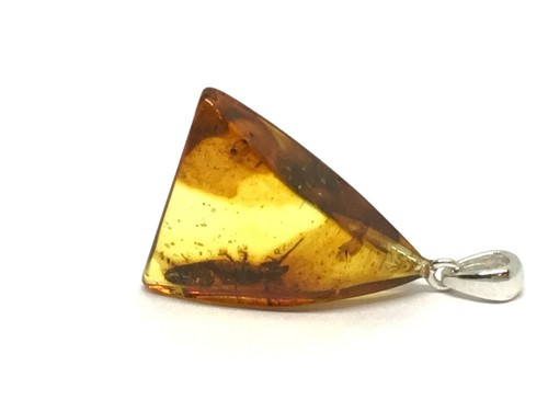 Pendentif ambre cadeau insect - pendentif,