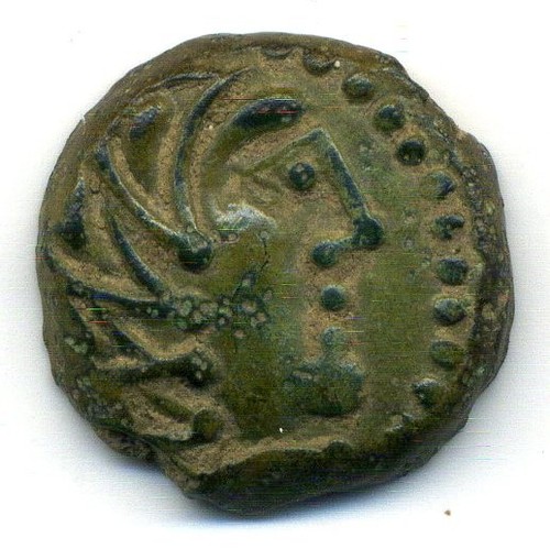 Rare sénons - (4147),