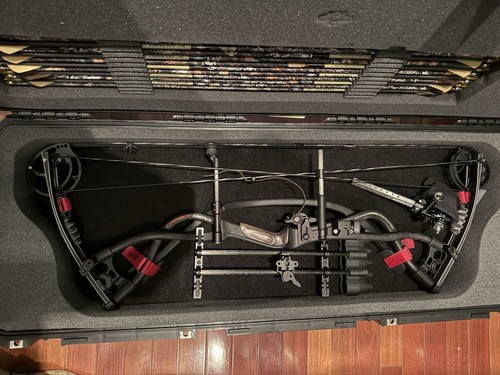 Hoyt carbon matrix compound - carbon,