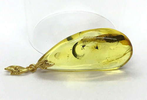 Pendentif ambre insectes - ambre,