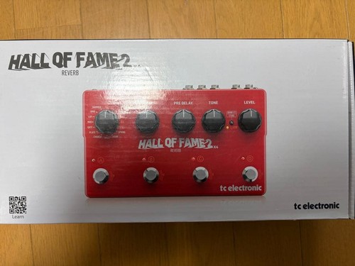 Electronic hall fame2 - hall,