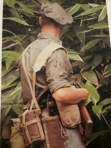 Brelage web jungle anglais - jungle, /
