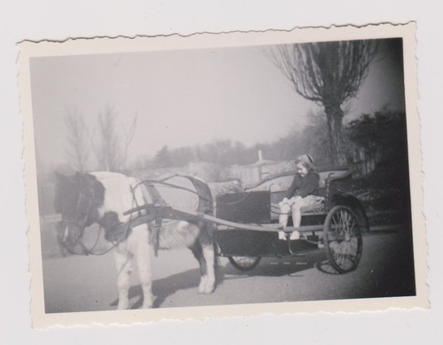 Photo ancienne - photo,