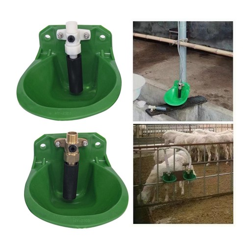 Bol abreuvoir automatique - bol, d'abreuvoir