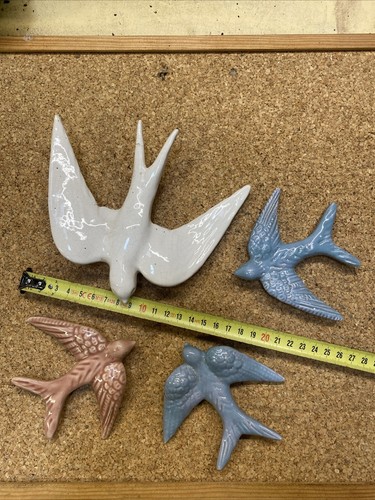 Hirondelles porcelaine - 4,