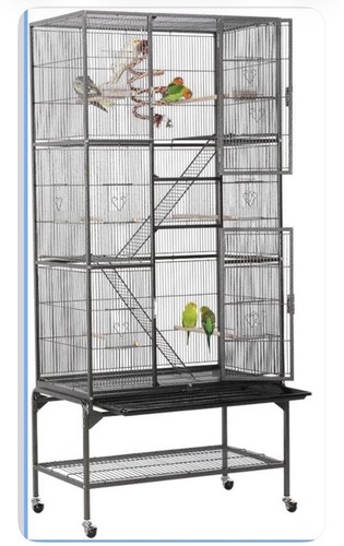 Vend grande cage oiseau - oiseau, sur