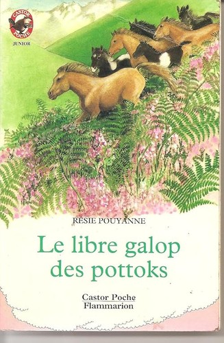 Libre galop des - , pottoks