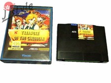 NEO GEO AES ROM Treasure of