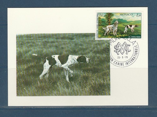 Monaco carte chien exposition - monaco,