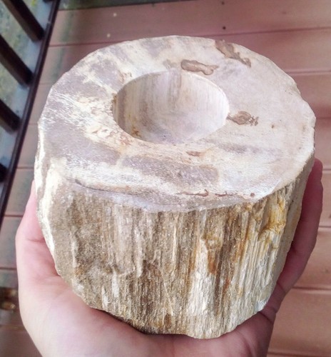 1266gr 114x70mm bois fossile