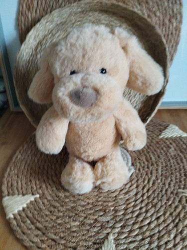 Peluche doudou chien - , beige