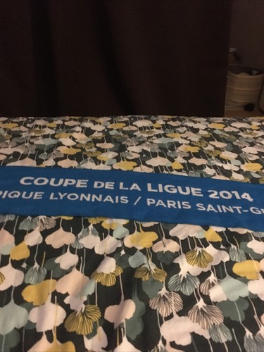 Echarpe coupe ligue 2014 - echarpe, la