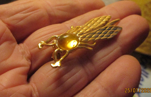 Ancienne broche cigale - a,