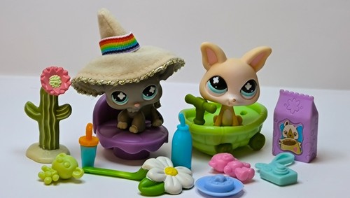 Littlest pet shop duo - pet,