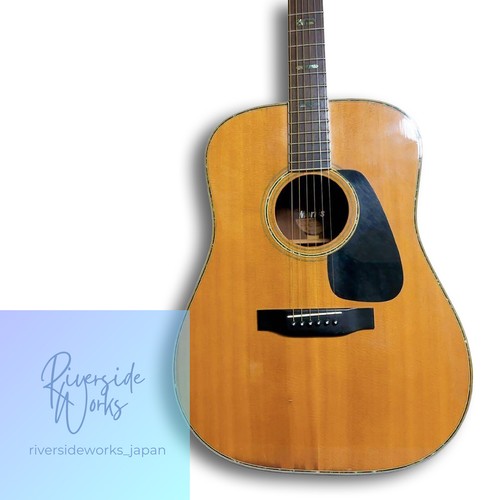 Guitare acoustique morris - guitare,