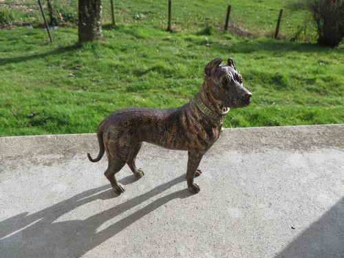Ancien grand chien - chien, dogue