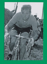 CYCLISME repro PHOTO cycliste
