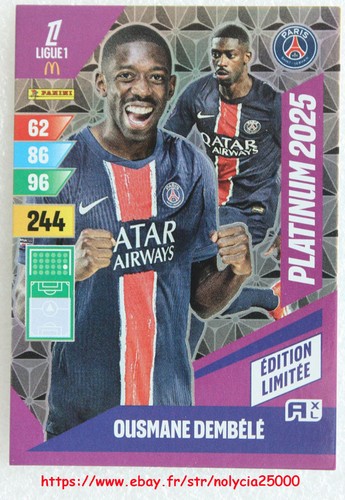 2024 panini adrenalyn xl - panini,