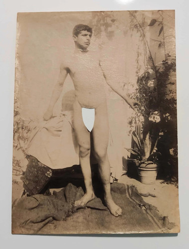 Plush show male nude - ,