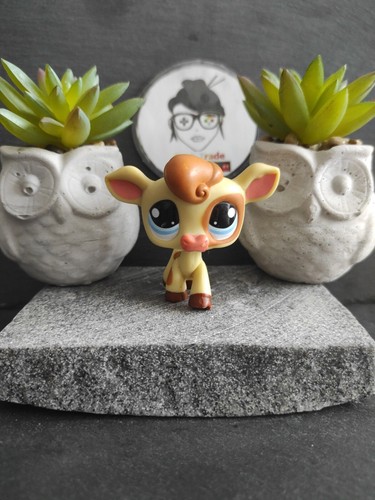 Littlest petshop pet - my, shop