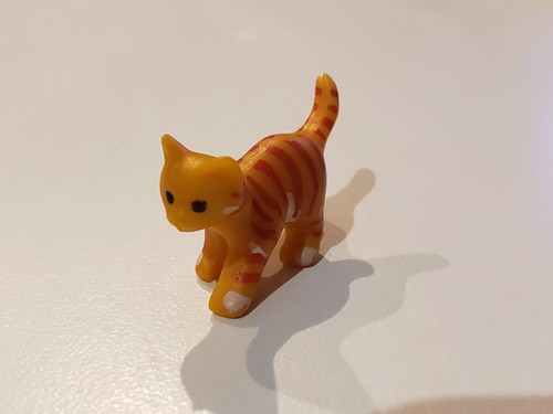 Chaton roux avec - chaton, rayures