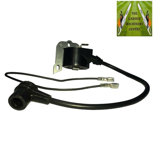 Module bobine allumage - bobine, d'allumage