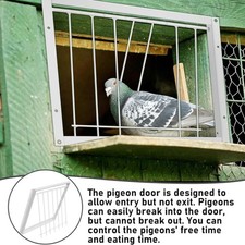 Porte Cage À Pigeons Fil À Oiseaux Porte D'entrée À Sens Unique Piège À /