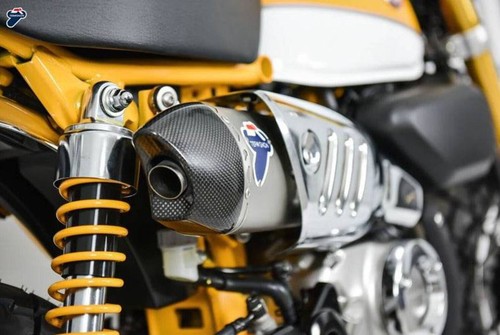 Silencieux termignoni racing - silencieux,
