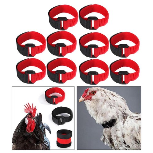 10pcs collier coq sans - de,
