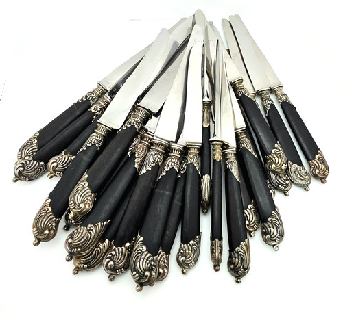 Lot couteaux nilox 12 - nilox,