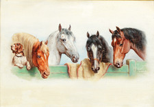 Affiche de clôture de chevaux