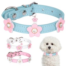 Collier Pour Chiot En Cuir À